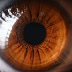 The Link Between Cardiovascular Health and Age-Related Macular Degeneration